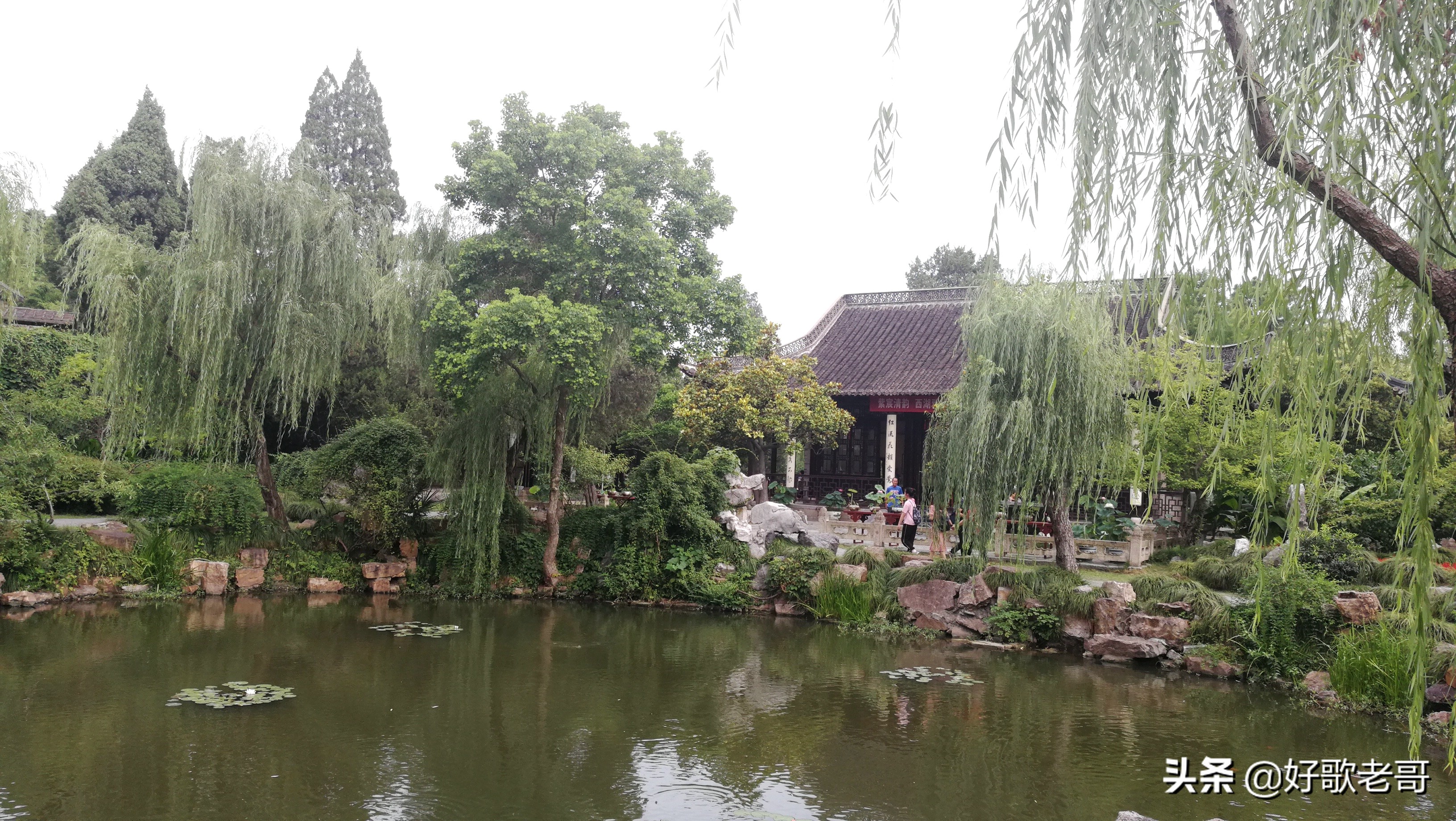 十里湖光,清澄缥碧,花木扶疏,连绵滴翠…瘦西湖游记