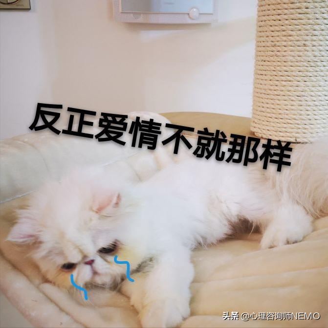 怎么快速摆脱失恋的情绪,有什么办法可以快速摆脱失恋