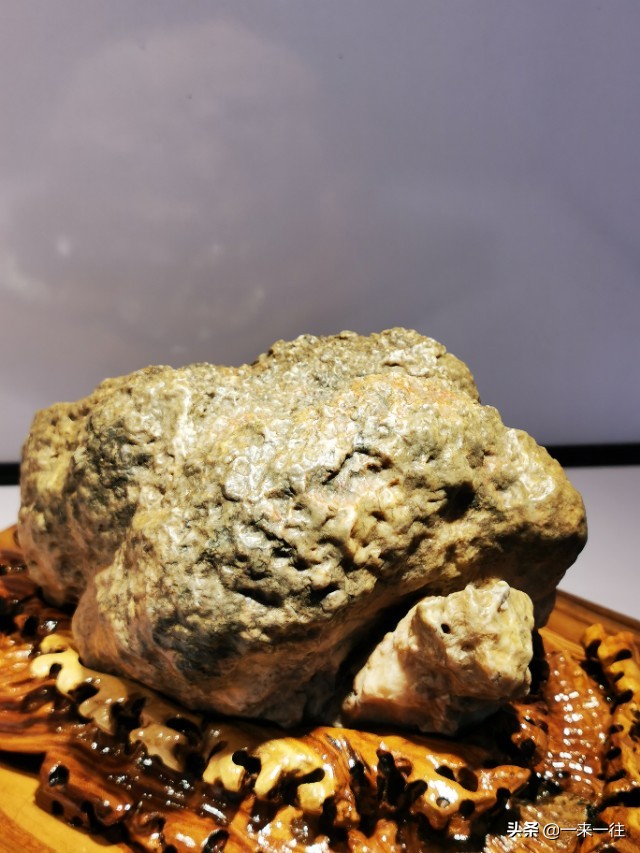 我对自然的认知,我对自然之书的理解