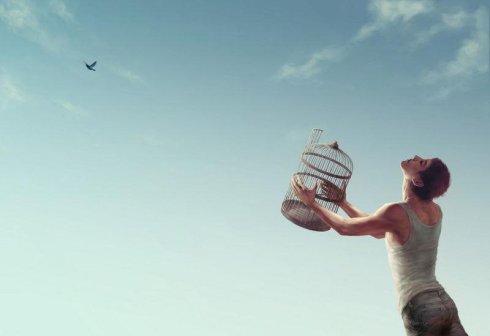 家养的鸟放生还能继续活下去吗,笼养鹦鹉放生能存活吗