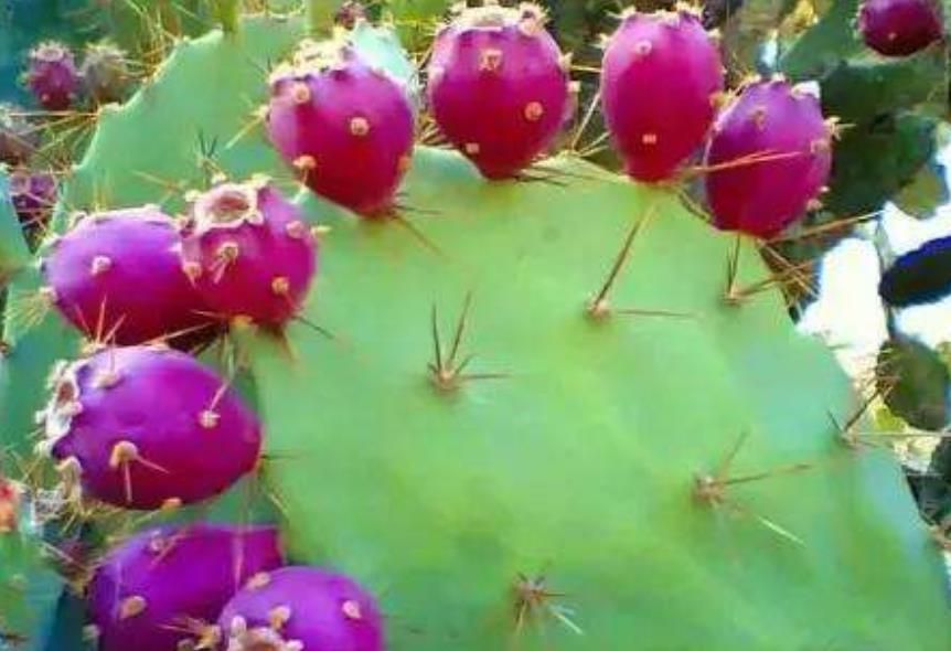 做人不要太锋芒毕露学会低调处事,为人处世只要懂得这三条规则