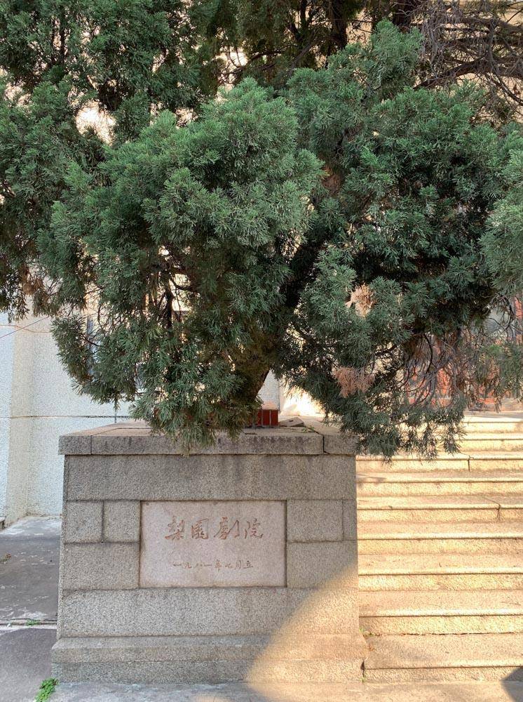 一个想变成蚯蚓的男人,和一个想变成鹅的女人