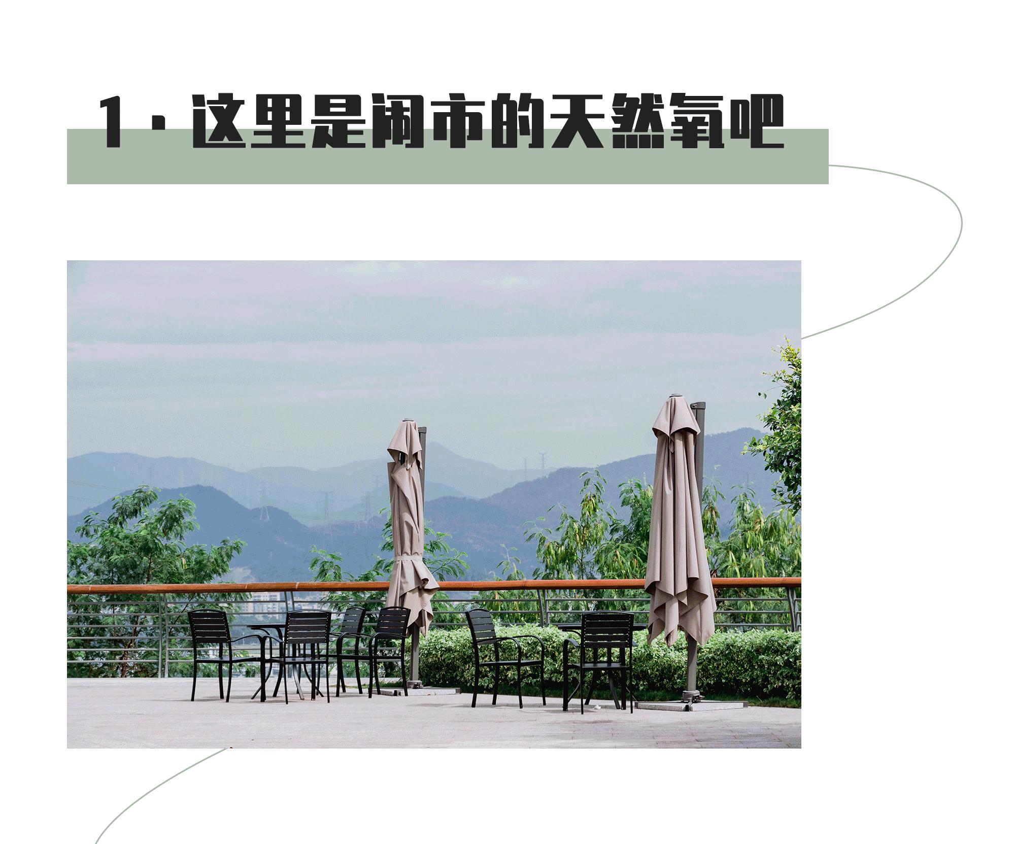 又发现深圳一个“绝美打卡地”!“淘金”绿道,人少免费