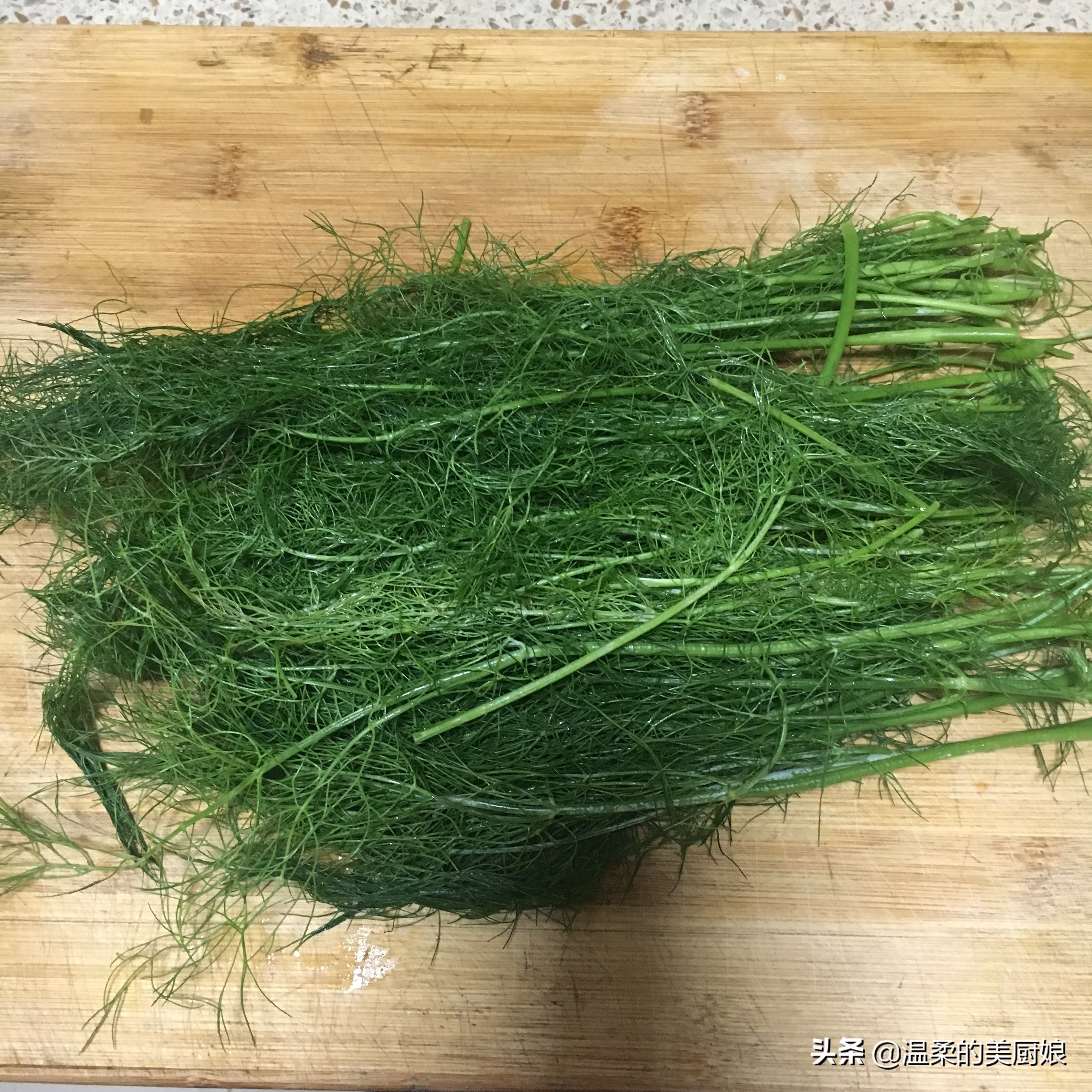 茴香苗除了吃饺子还能怎么做,用茴香苗做美食