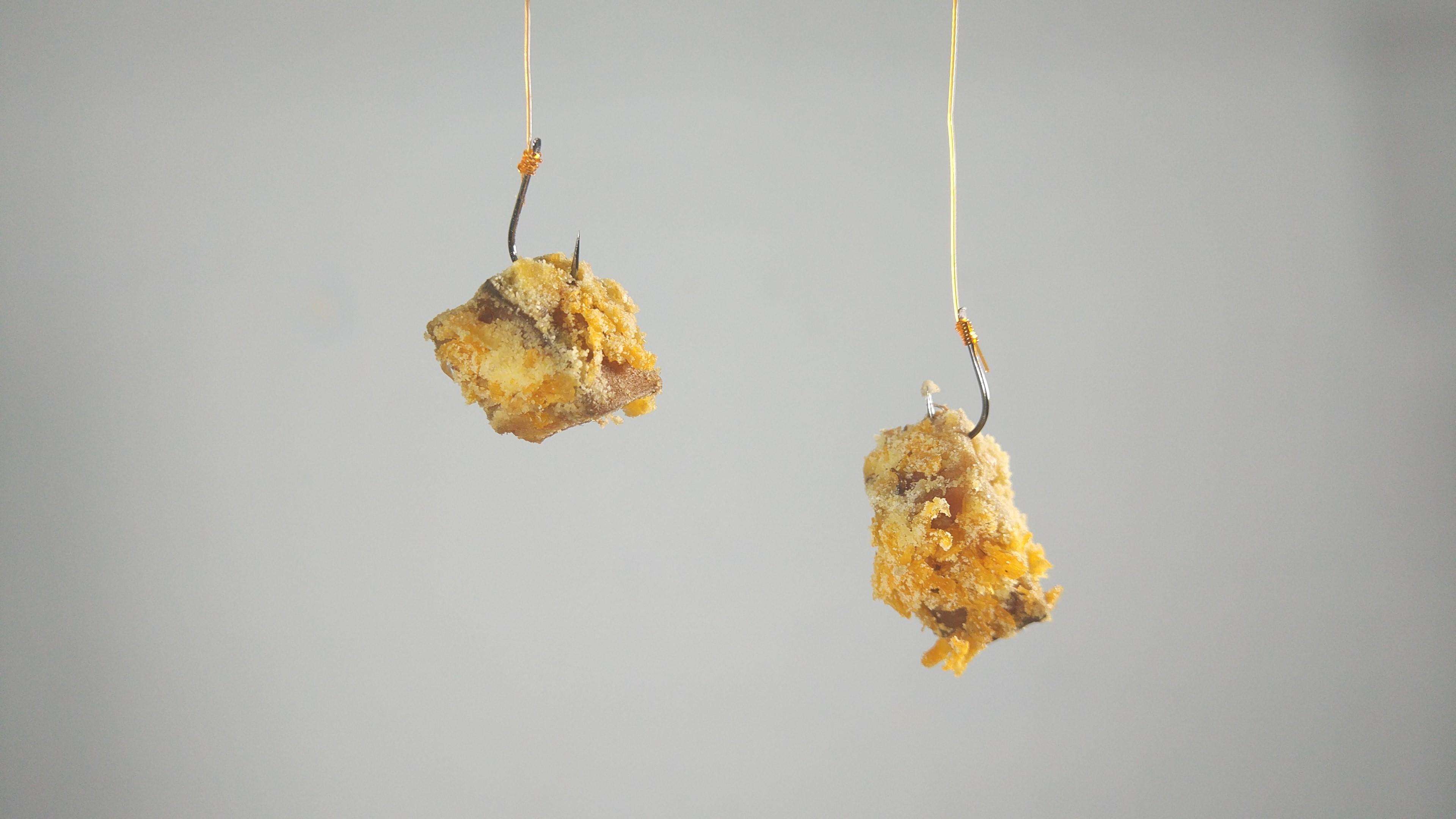 新手野钓用什么饵最好,深水野钓用饵技巧