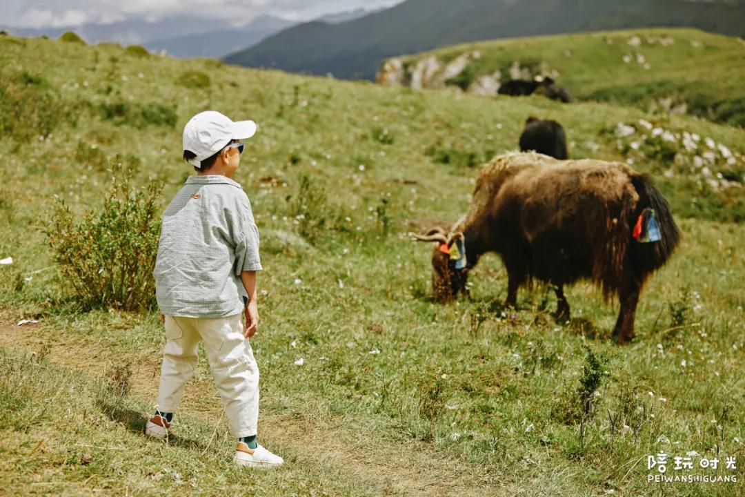 国庆去哪玩人少风景好带孩子,国庆带娃冷门小众人少旅游地点