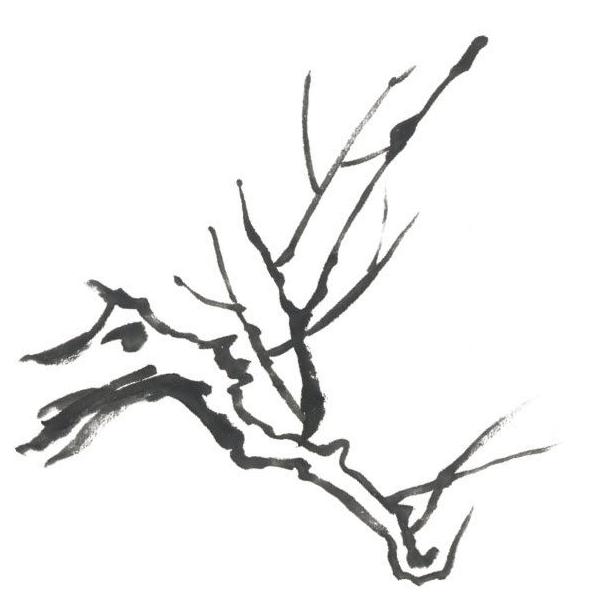 宋元国画山水画基础技法详解,国画入门零基础自学技法