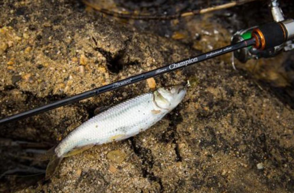 做什么生意成本小利润大暴利,用这种方法做生意利润提升10个点