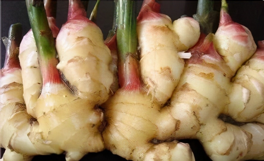 姜水对健身的作用,姜水对植物的功效与作用