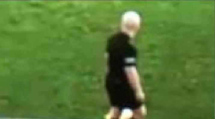 ai误认裁判光头为足球裁判,足球转播ai对焦到裁判的头上