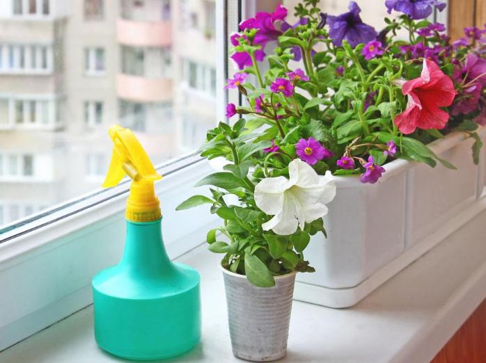 药片过期了吃了怎么办,过期的药片不要扔还可以用来养花