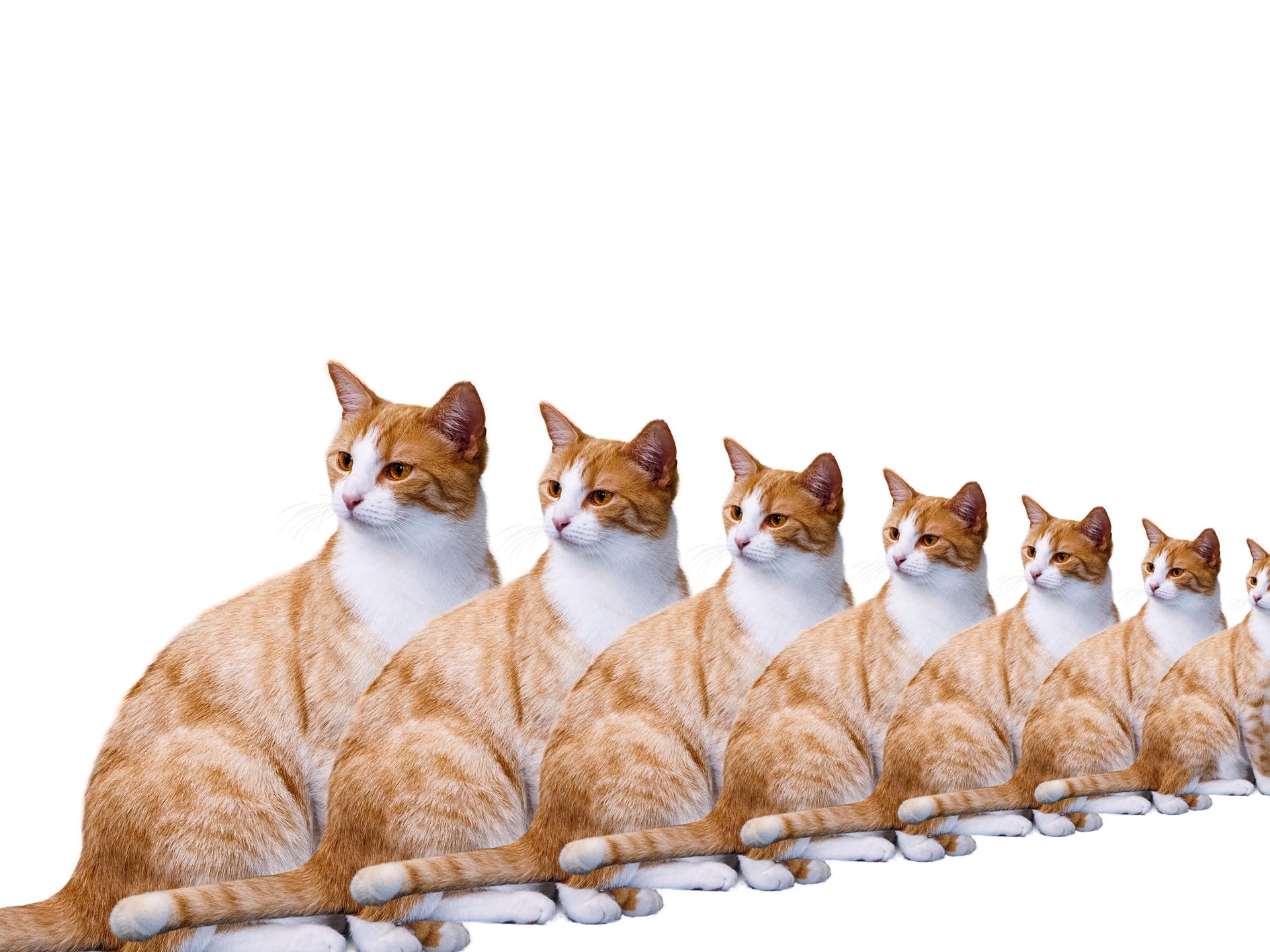 你不知道的ps文字小技巧,你不知道的cad技巧来了