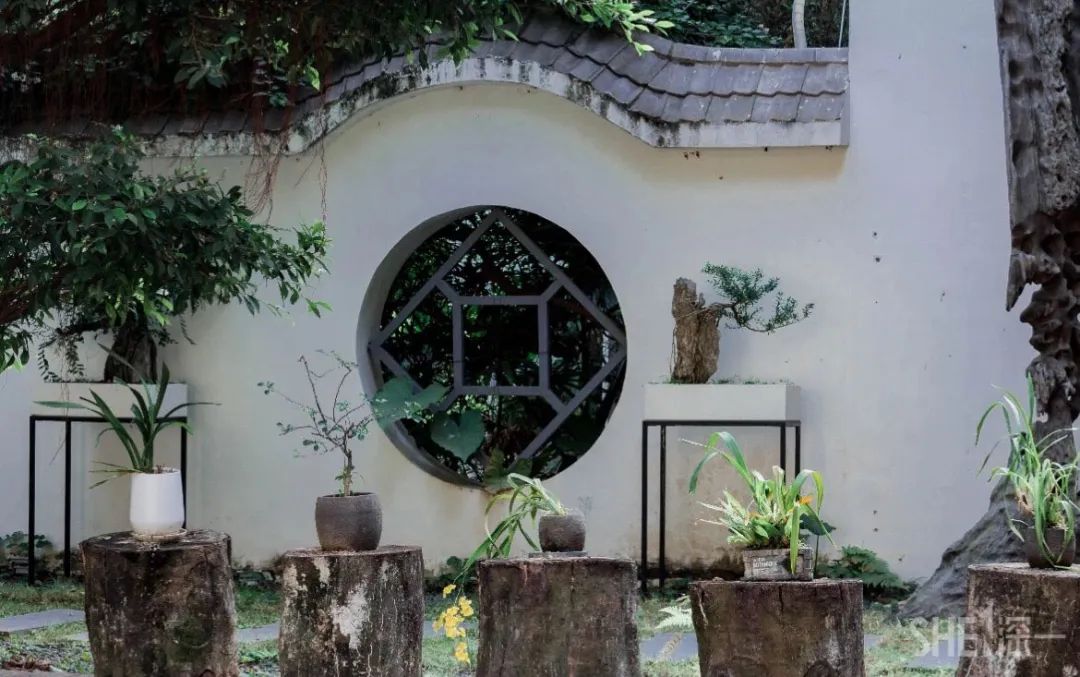 疫情期间免费开放的公园,疫情期间开放的公园有哪些