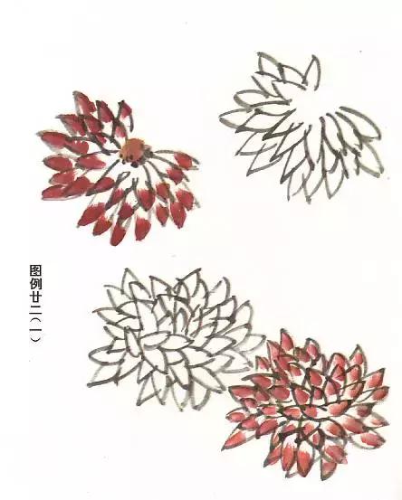 菊花国画入门简单教程,国画菊花画法技法教程