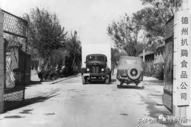 没有一只鸡能活着走出山东,没有一只鸡能活着离开