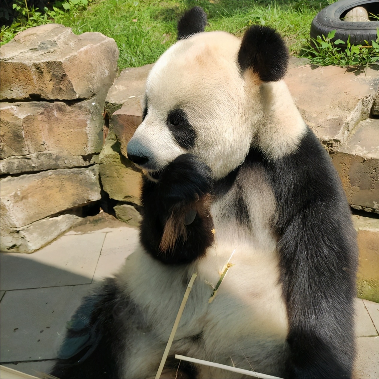 618必买的10种礼物,618必买的10件物品