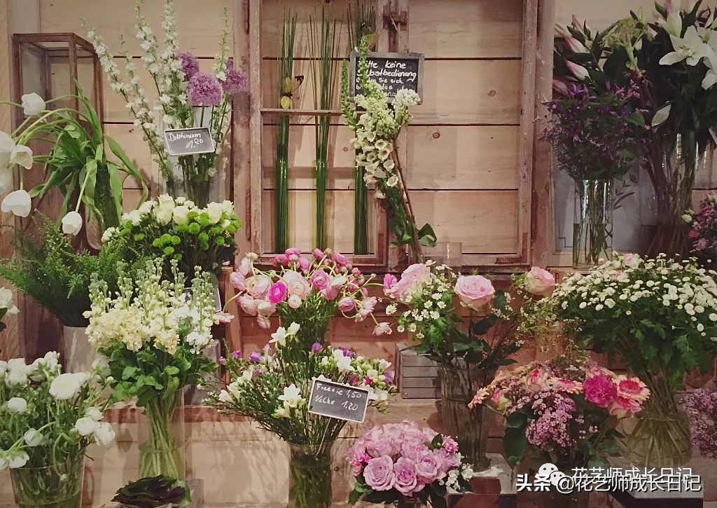 花店护理花小技巧,花店花材养护及资料整理
