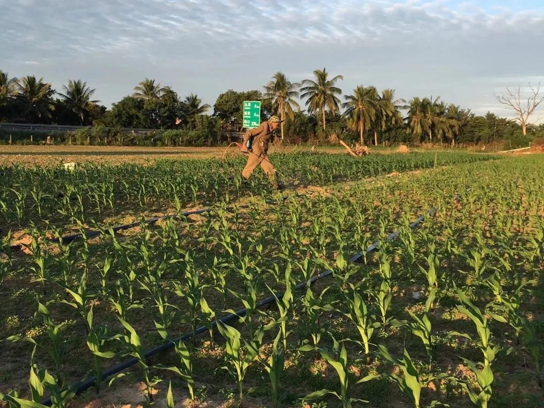 鑲ヤ埂娌冨湡绉嶄笟,鑲ヤ埂娌冨湡绉嶄笟鏈夐檺鍏徃鍦板潃