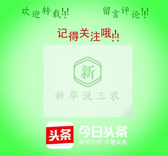 接产要领及接产步骤,助产催产方法