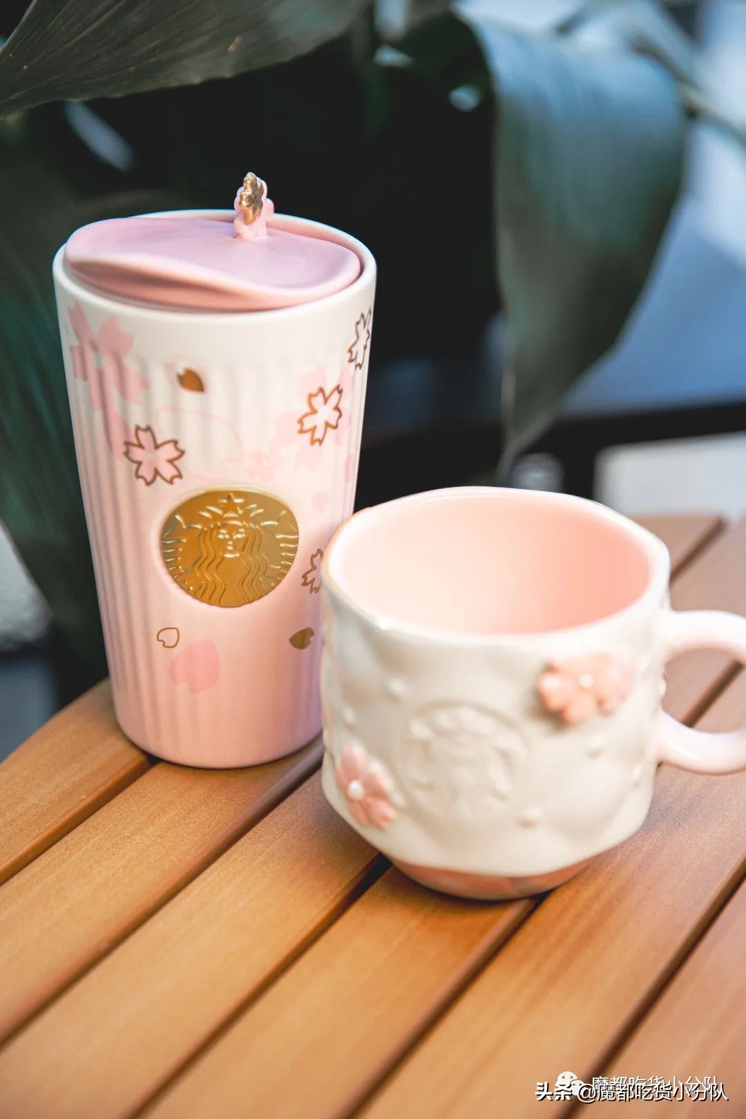 17元/颗的隐形草莓，荷兰来的