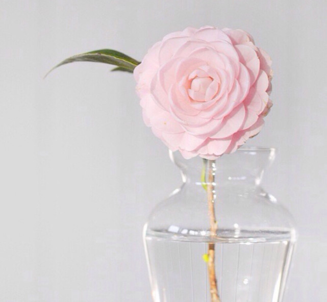 做事沉稳大气聪慧过人的三大星座,做事靠谱很有原则性的三大星座