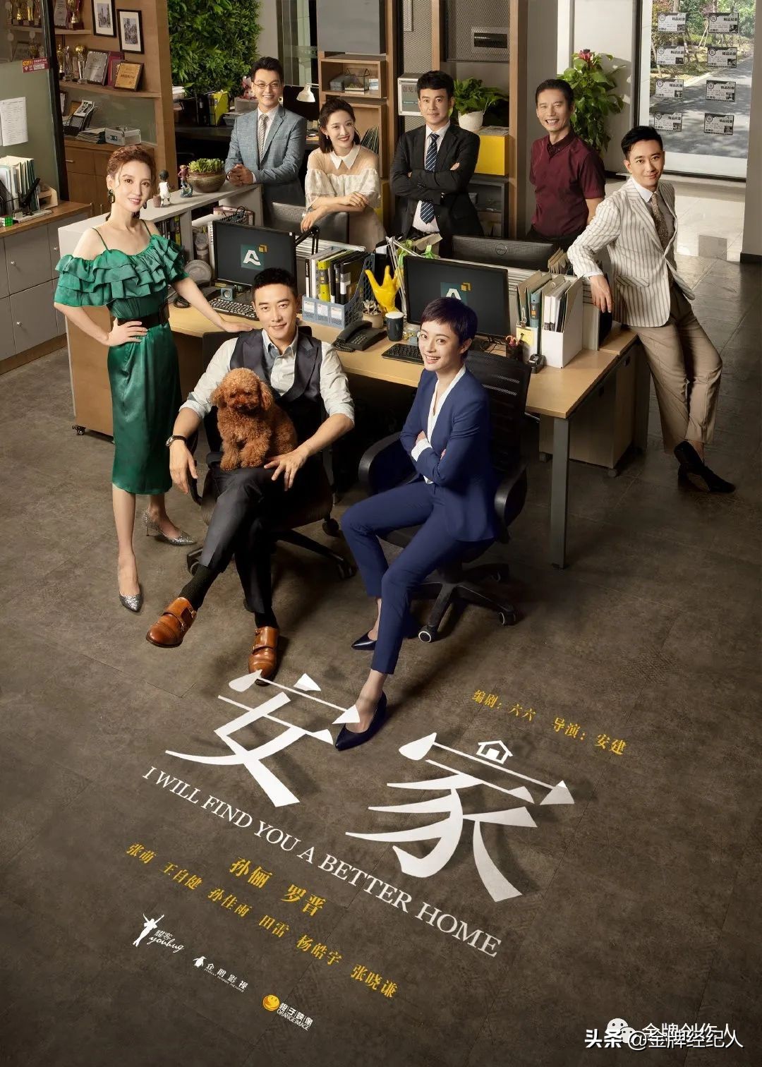 安家热搜,安家的热搜