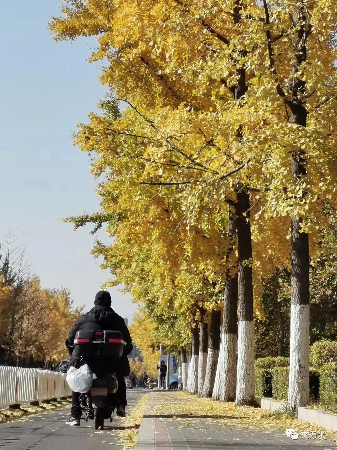 记录设计生涯,设计毕业生现状