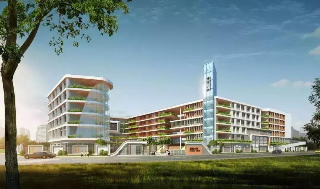 深圳龙岗区2018学位锁定的学校,深圳2025年小学学位紧张吗