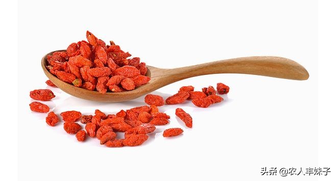 药用枸杞的种植技术,枸杞干货怎么选