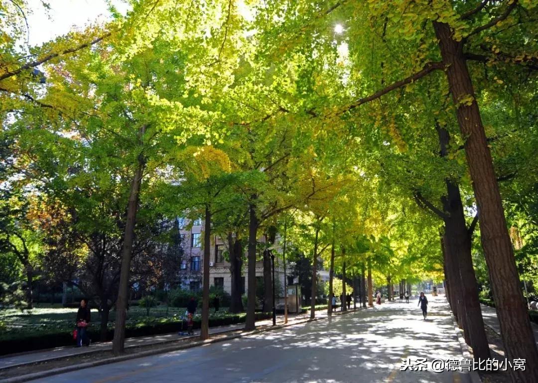 北京城里的秘密!一二三四五六七八九十!