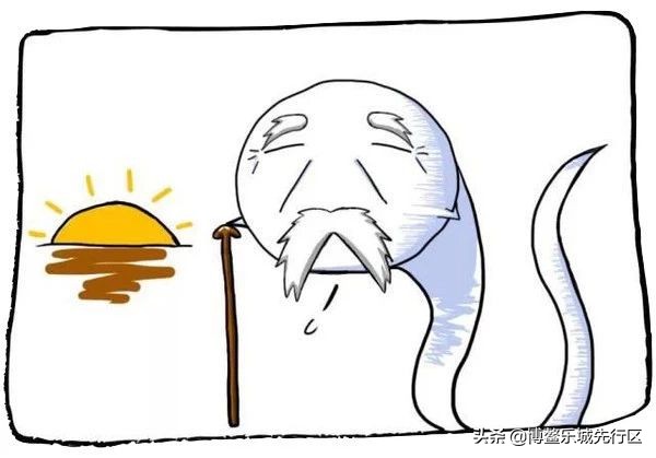 一组漫画告诉你：出生前，陪你进军的几亿精子大军都去哪了？