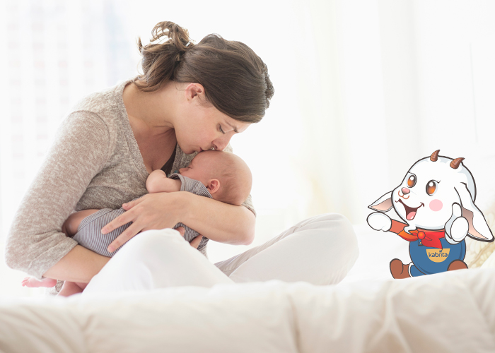 推荐一款低乳糖低过敏的奶粉,100%纯羊乳蛋白奶粉