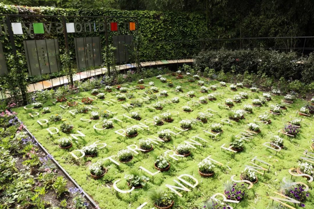 文字带来的魅力,奇特文字符号