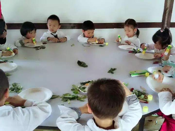 120亩自然营地,120公顷的庄园