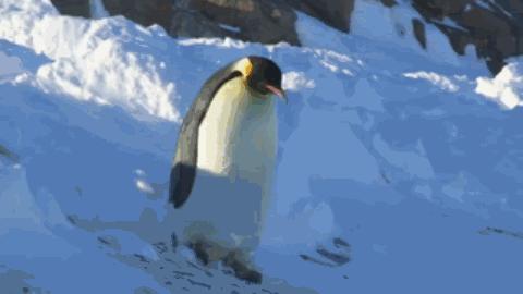 车贷“一哥”微贷网被立案侦查！投资者们，还好吗