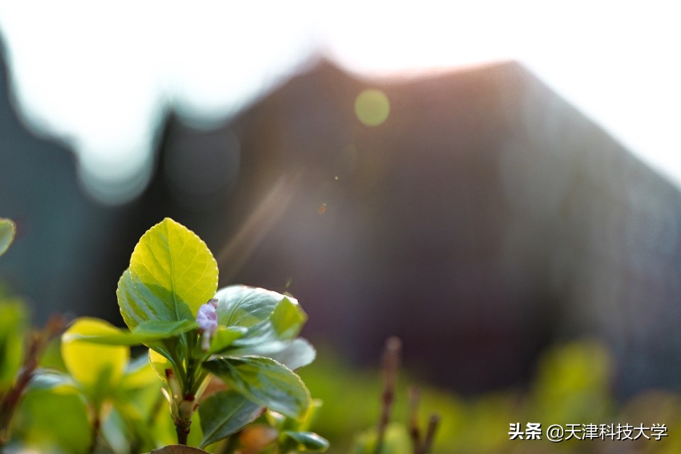 青年请留步｜五四青年节，一起来青春建功