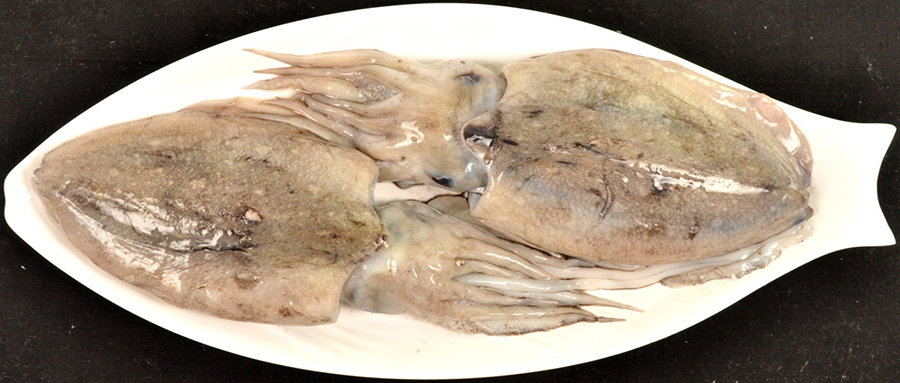 孕妇吃哪三种鱼对胎儿发育最好,什么鱼孕妇吃了对胎儿发育好