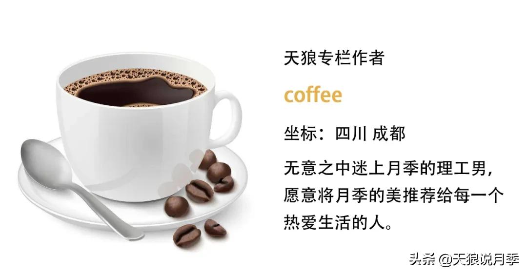 浪漫者的情怀，实用派的操作，一起来邂逅这8款法式月季