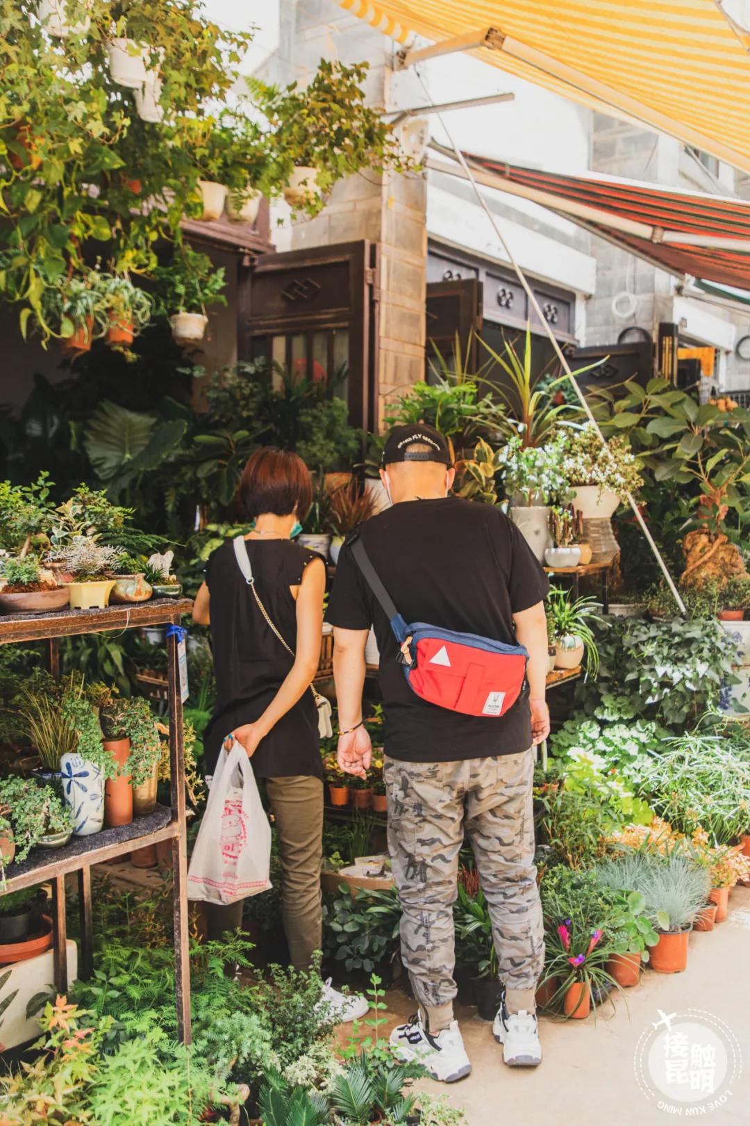 逛逛园博花鸟市场,园博花鸟市场攻略