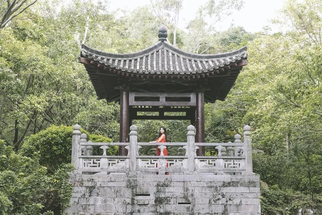 深圳龙华适合小孩子玩的免费景点,深圳适合一日游好玩的地方推荐