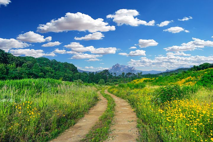 婚礼也很有气氛,从运动风到中式风的婚礼