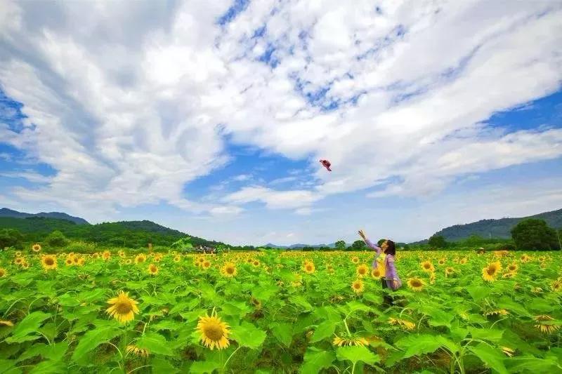 九江旅游必去十大免费景点,九江旅游必去的八大景点