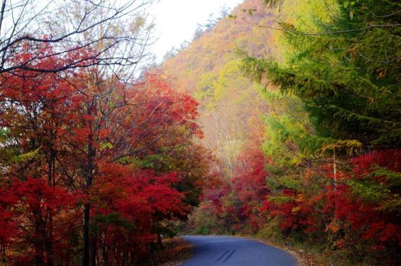 十一沿途风景,十一去红叶谷的景致