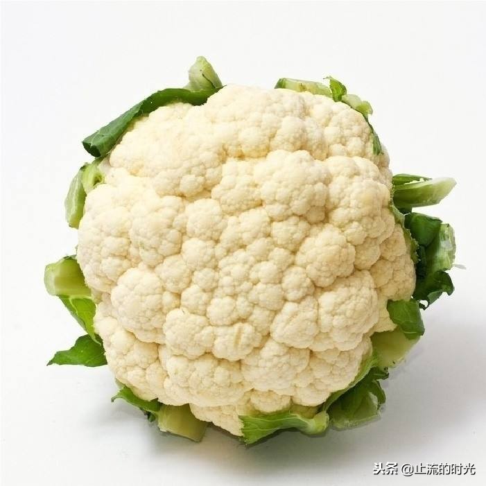 跌落神坛的五种多肉,长相奇特的6种多肉