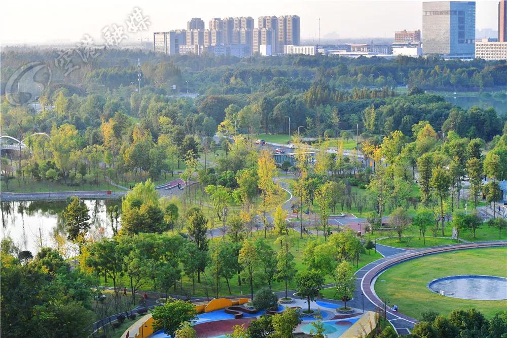 踏青打卡好去处双流空港公园,环城生态公园东片区