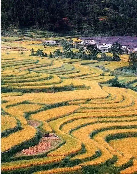 逐梦韶关:粤北这方山水,如此多情!怎可不来?