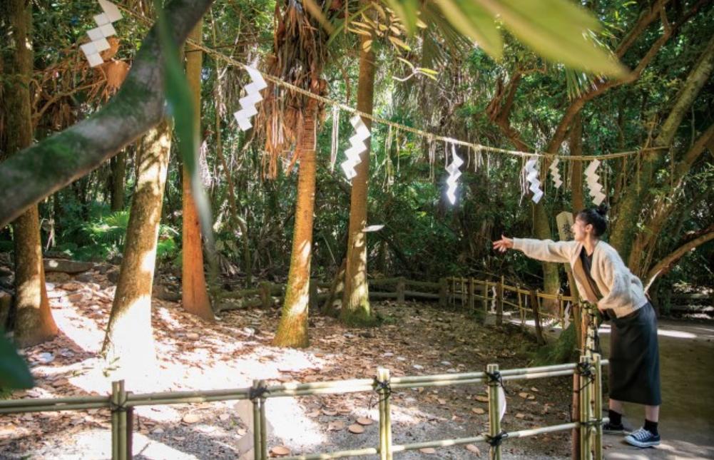 求神能求什么,求神祈福