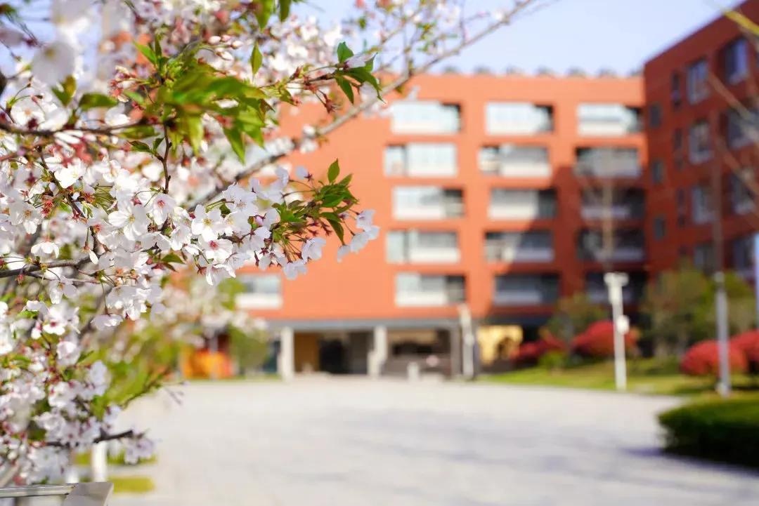 江苏南京外国语学校,南京外国语学校高二五班