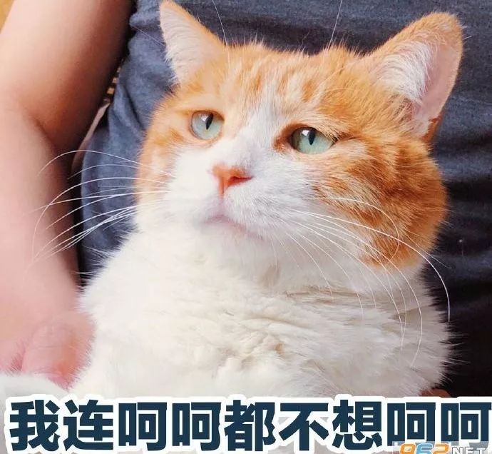 腿毛可以检测吸毒么,一根头发可以检测吸毒了吗