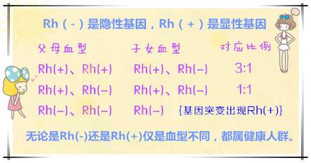 血型遗传知识大全,什么血型会引起胎儿溶血